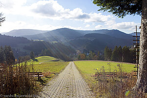 Der Steig oberhalb der Panoramahütte 