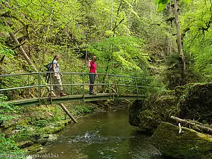 Brücke nahe der Burgmühle über die Gauchach