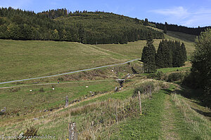 Abstieg ins Holzschlagbachtal