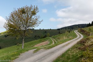 Wanderweg auf das Riggenbacher Eck