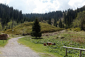 Lichtung bei der Zastler-Hütte