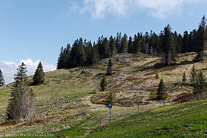 Hang zwischen dem Großen Spießhorn und der Krunkelbachhütte