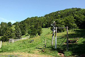 hier geht´s hoch zum Belchen