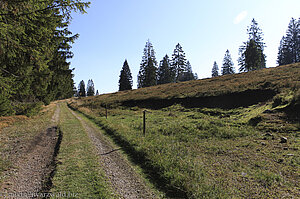 Wanderweg nach Blasiwald-Althütte