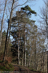 Wanderung durch das Wehratal