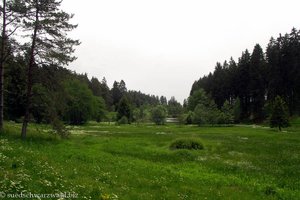 Blick über das Naturschutzgebiet zum Schlüchtsee