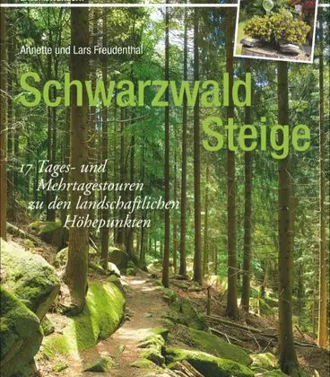 Steige im Schwarzwald