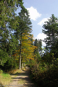 Wanderweg nach Oberfischbach