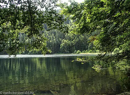 Wanderung zum Feldsee