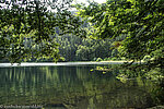 Blick über den Feldsee