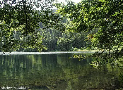 Wanderung zum Feldsee