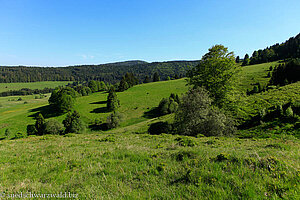 Landschaft zwischen Bödemle und Bernau-Innerlehen