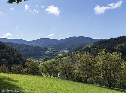 Wanderung auf dem Peterstaler Schwarzwaldsteig