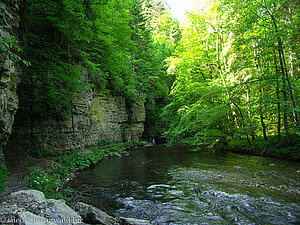 unterer Abschnitt der Wutachschlucht