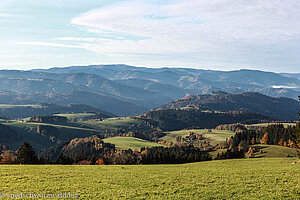 Aussicht von Hochrütte zum Feldberg