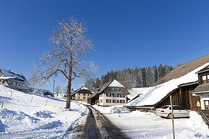 Dresselbacher Weg in Balzhausen