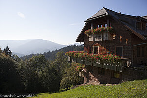 Wanderung auf dem Wiesensteig