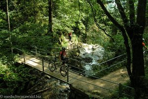 Aufstieg zum oberen Todtnauer Wasserfall