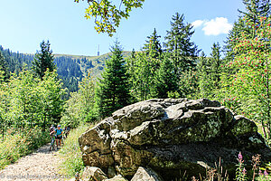 Wanderweg von der Zastler Hütte auf den Baldenweger Buck