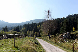 Auf dem Seeweg nach Aha