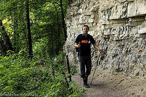 Wanderung entlang einer Muschelkalkwand