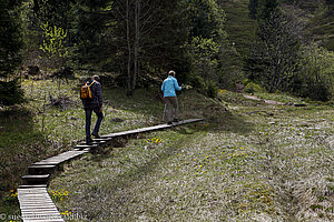 Unterwegs auf dem Feldbergsteig