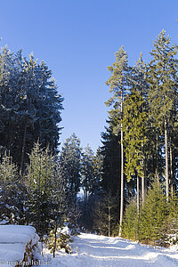 Wanderweg nach Balzhausen