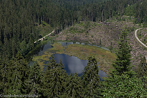 Blick auf den Huzenbacher See