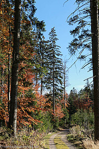 Wanderweg von Vorderwillmen zu den Hirschbachfällen