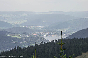 Blick zum Titisee