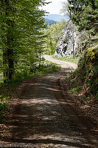 Wanderweg vom Kohlplatz nach Bernau-Hof