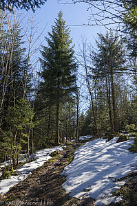 Renchtalsteig im Winter