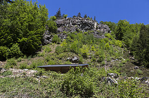 Kletterfelsen bei Todtnau Fahl