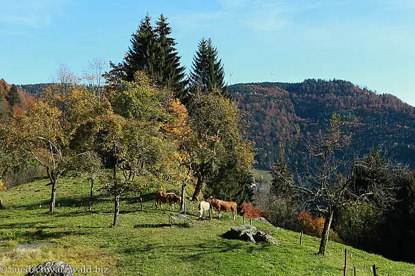 Ferienregion ZweiTälerLand