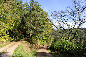 Abzweig im Vogelbachtal