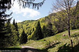 Wanderung von der Krunkelbachhütte nach Bernau-Hof