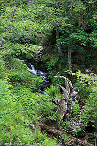 kleiner Wasserfall