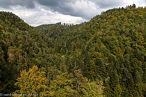 Sicht von der Burg Wieladingen nach Norden in den Hotzenwald