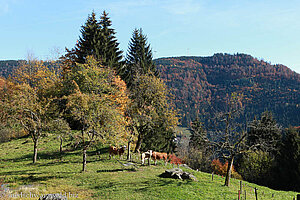 Aussicht vom Rastplatz Brunnenhof