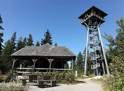 Zum Riesenbühl-Turm