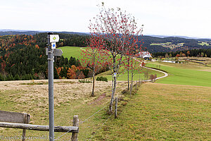 Zweitälersteig beim Gasthaus zur Schwedenschanze