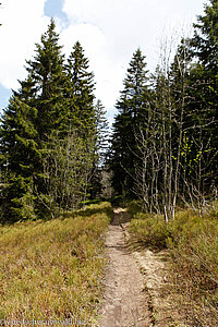 Feldbergsteig zwischen Zastler und Feldberg