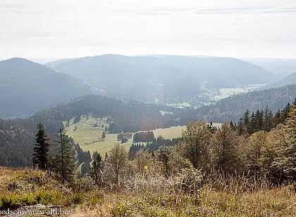 Genießerpfad Bernauer Hochtalsteig