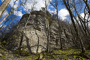 Muschelkalkwand am Schluchtensteig