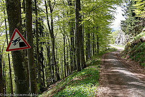 Rodel- und Wanderweg nach Bernau-Hof