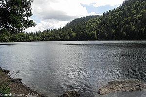 Blick vom Fuß des Feldbergs über den Feldsee