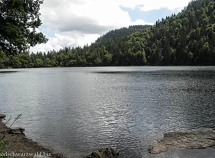 Von Bärental an den Feldsee