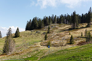 Blick von der Krunkelbachalm zum Spießhorn