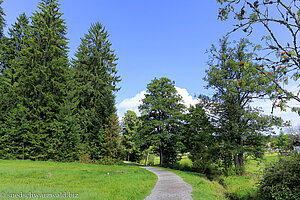 leichter Wanderweg bei Hinterzarten