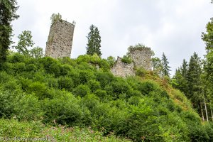 Burgruine Roggenbach (Ansicht vom Steinatal)